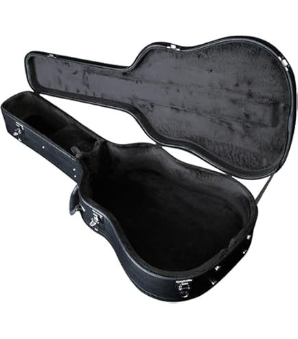 Amazon | Epiphone 940-EJUMBO ハードケース アコースティックギター用